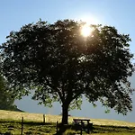 Aktivhotel & Schmelz Ihr Familienfreundliches Urlaubs Mit Wellness, Almsauna, Chiemgau Karte מלון