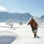מלון Aktivhotel & Schmelz Ihr Familienfreundliches Urlaubs Mit Wellness, Almsauna, Chiemgau Karte 3*