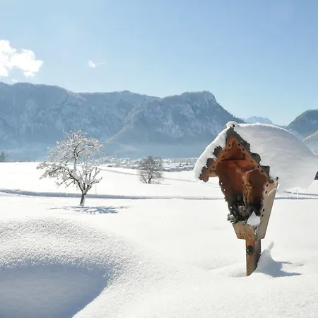 Hotel Aktivhotel & Schmelz: Alpine Wellness Retreat In 3*