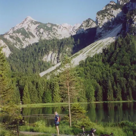 Aktivhotel & Schmelz: Alpine Wellness Retreat In Hotel Inzell