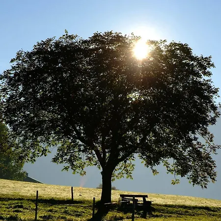 Aktivhotel&gasthof Schmelz Ihr Familienfreundliches Urlaubs Mit Wellness, Almsauna, Chiemgau Karte Hotel